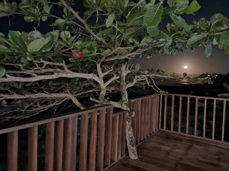 Hotel Playa Bonita Puerto Limon Bagian luar foto
