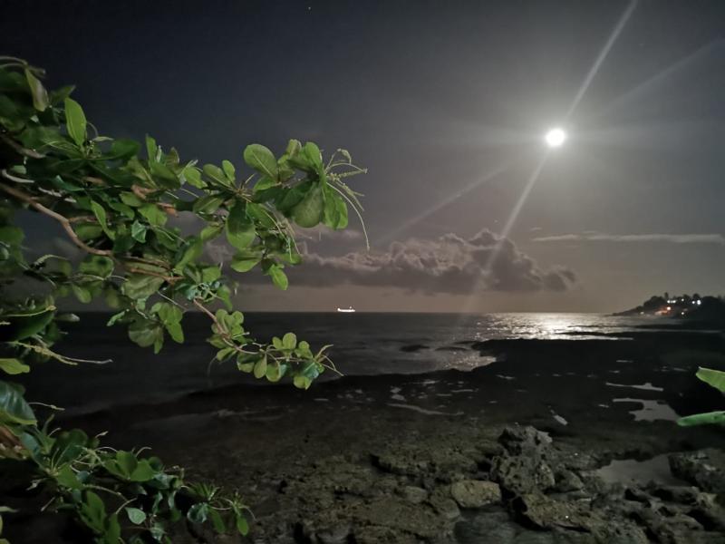 Hotel Playa Bonita Puerto Limon Bagian luar foto